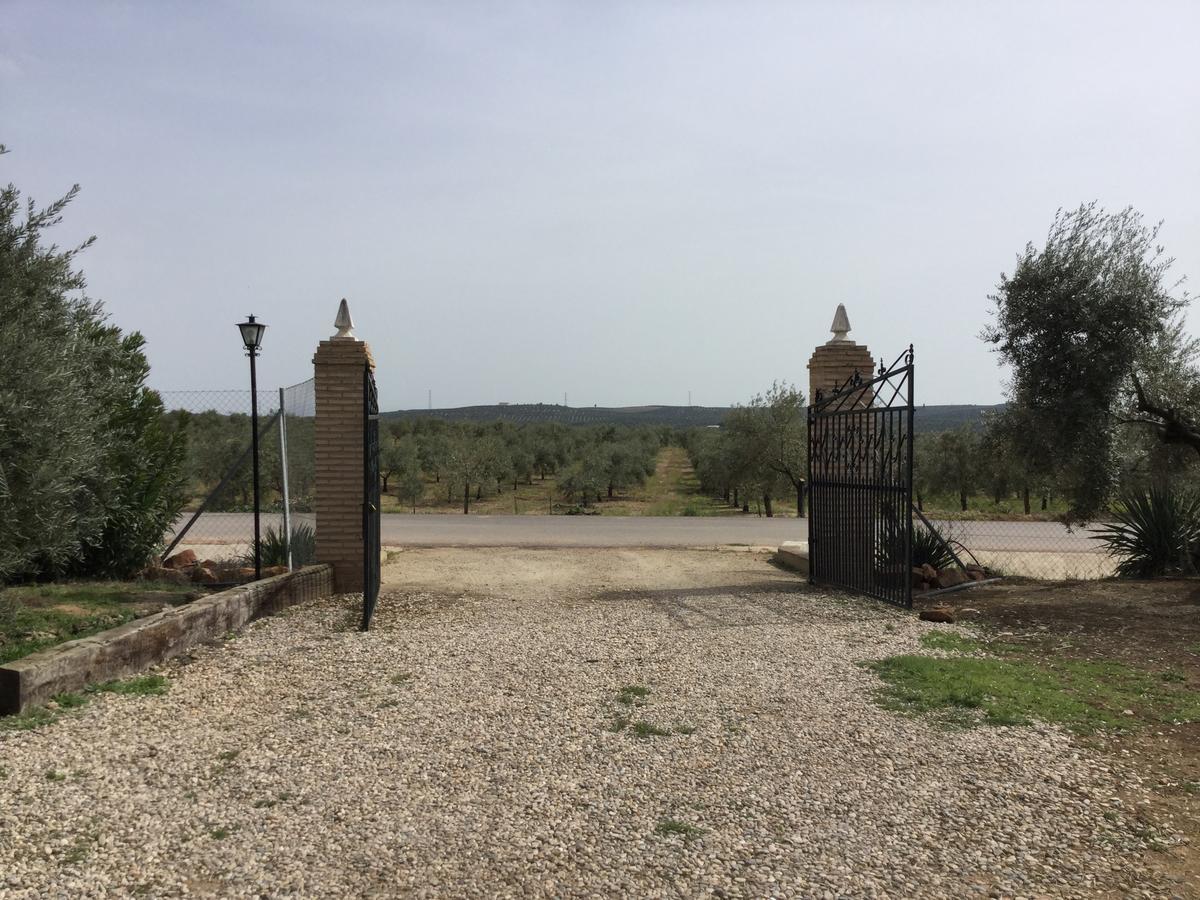 马尔莫莱霍 La Aragonesa旅馆 外观 照片